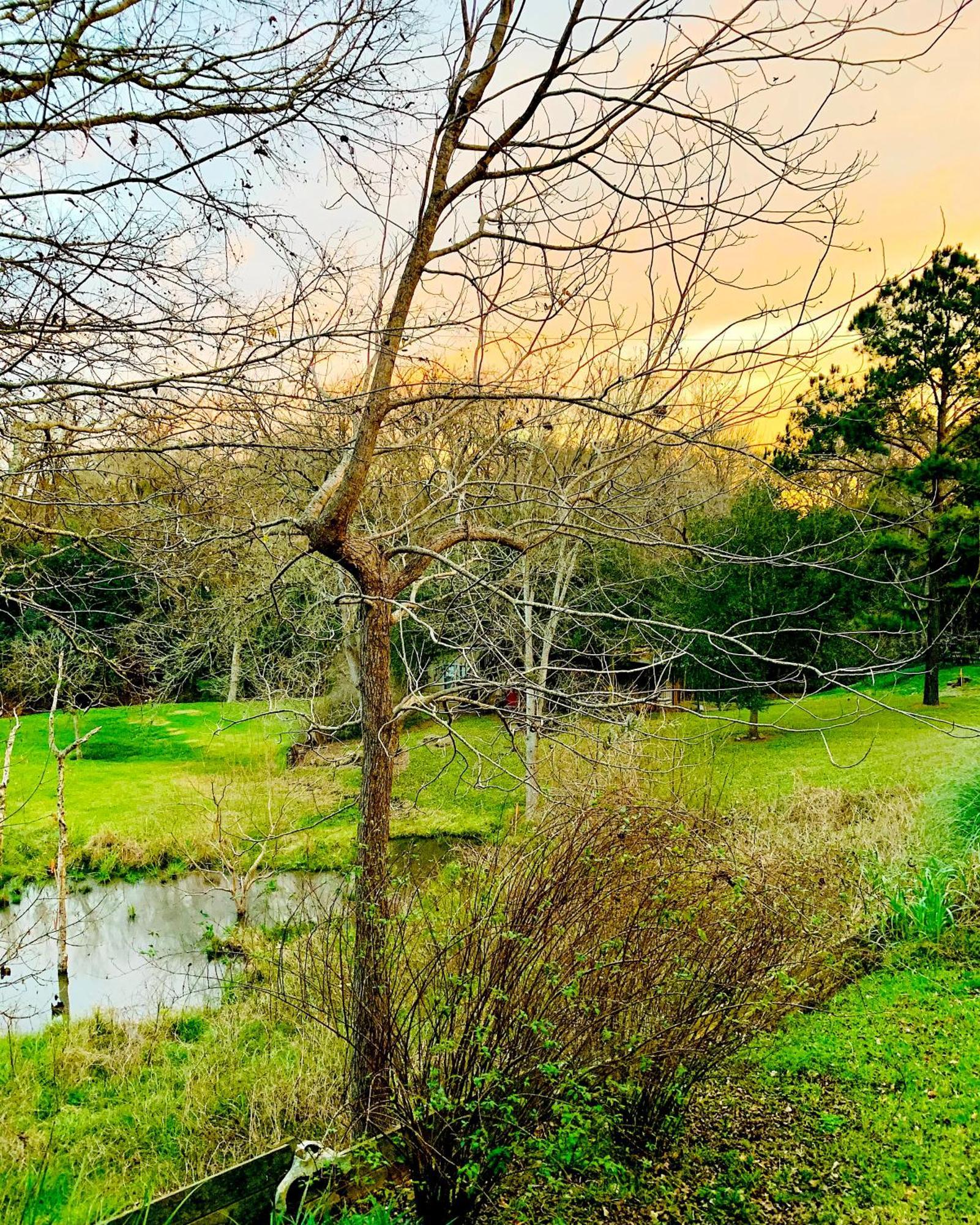 Circa 1900 - Historic - Romantic - Private - Pond - Fenced Yard - The Cottage At Chappell Hill Eksteriør billede